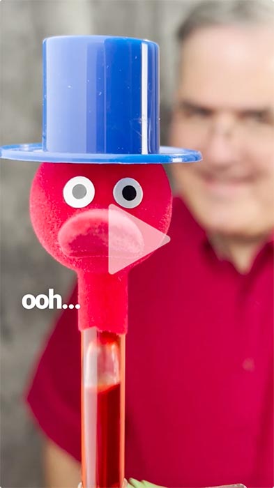 Drinking Bird  Purchase the Famous Dipping Bird for Science Classroom  Experiments or Lessons on Energy & Motion at